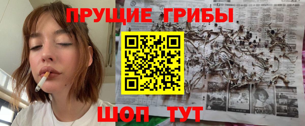 Псилоцибиновые грибы MAGIC MUSHROOMS  Вход с VPN  наркошоп  Ульяновск 